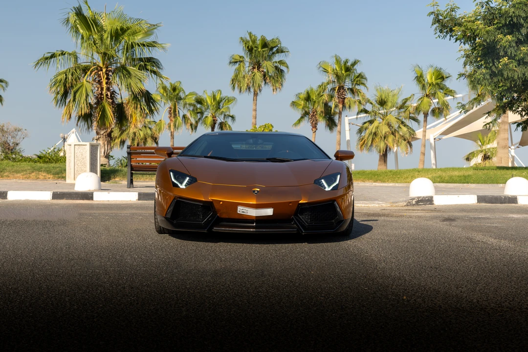 2014 Lamborghini Aventador LP700-4 - Image 2 of 31