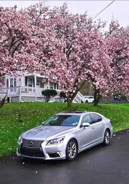 2014 Lexus LS 4th Gen - Image 11 of 12