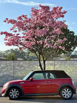 2014 MINI Cooper S Convertible