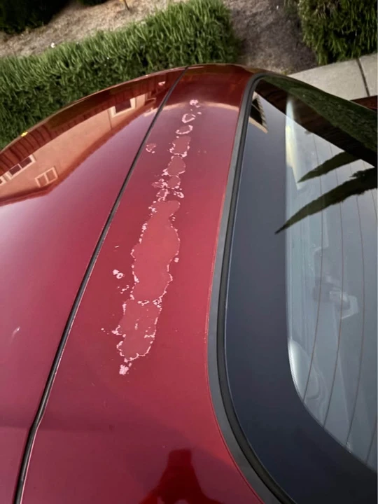 2014 Mazda NC MX-5 Miata - Image 8 of 9