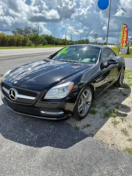 2014 Mercedes-Benz SLK-Class SLK 250 Roadster 2D