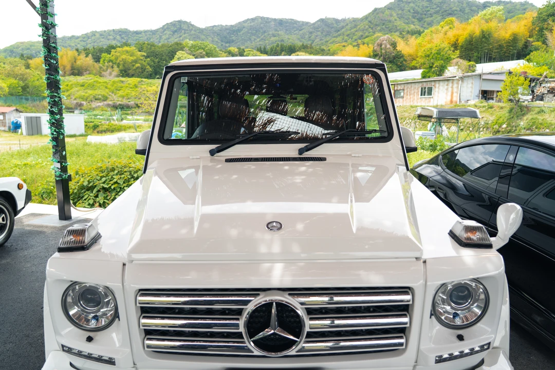 2014 Mercedes-Benz W463 G-Class - Image 10 of 31