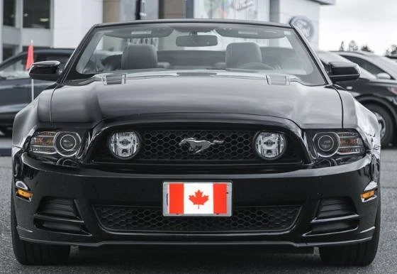 2014 Ford S197 Mustang - Image 3 of 9