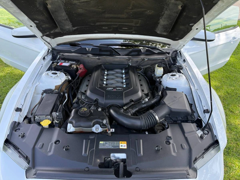 2014 Ford S197 Mustang GT - Image 19 of 22