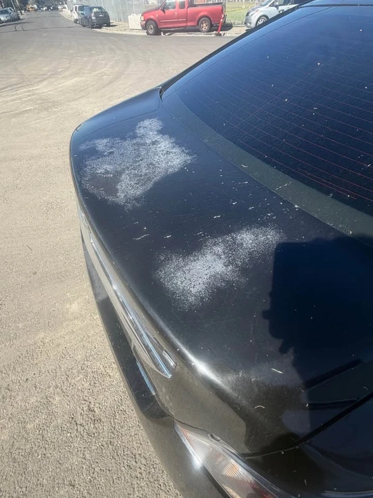 2014 Nissan Altima 5th Gen - Image 4 of 11