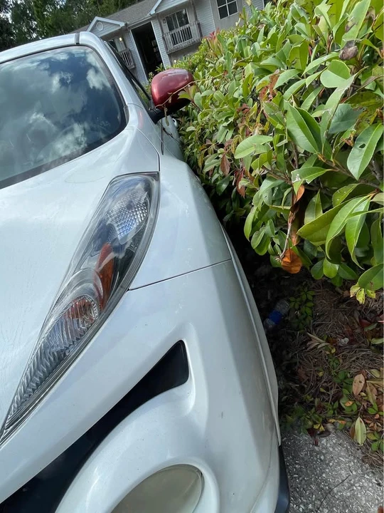 2014 Nissan Juke - Image 12 of 14