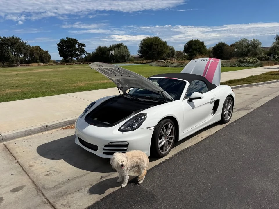 2014 Porsche 981 Boxster - Image 7 of 15