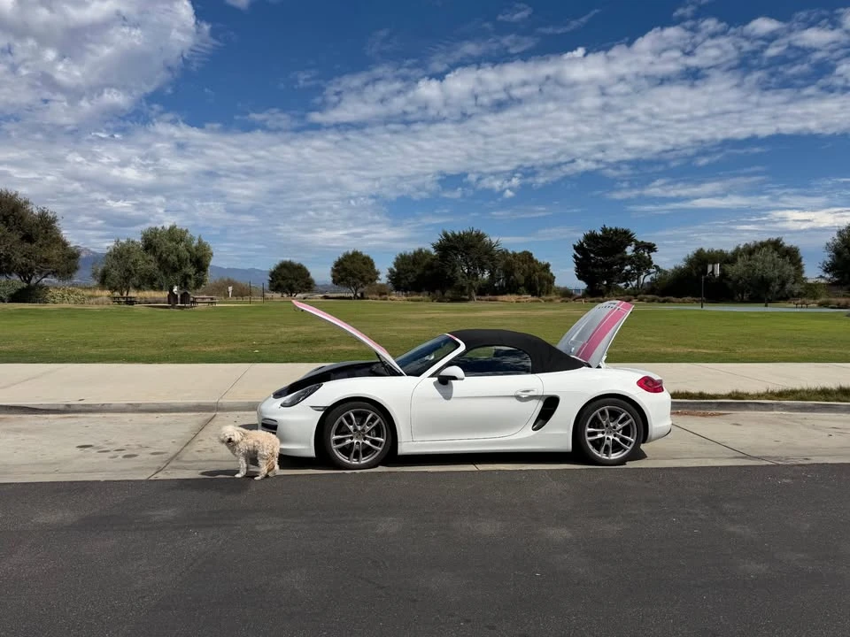 2014 Porsche 981 Boxster - Image 8 of 15