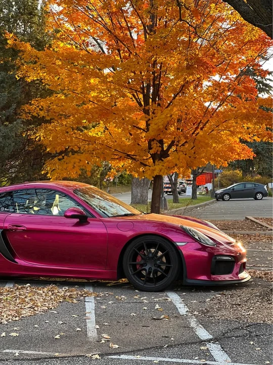 2014 Porsche 981 Cayman S - Image 5 of 9