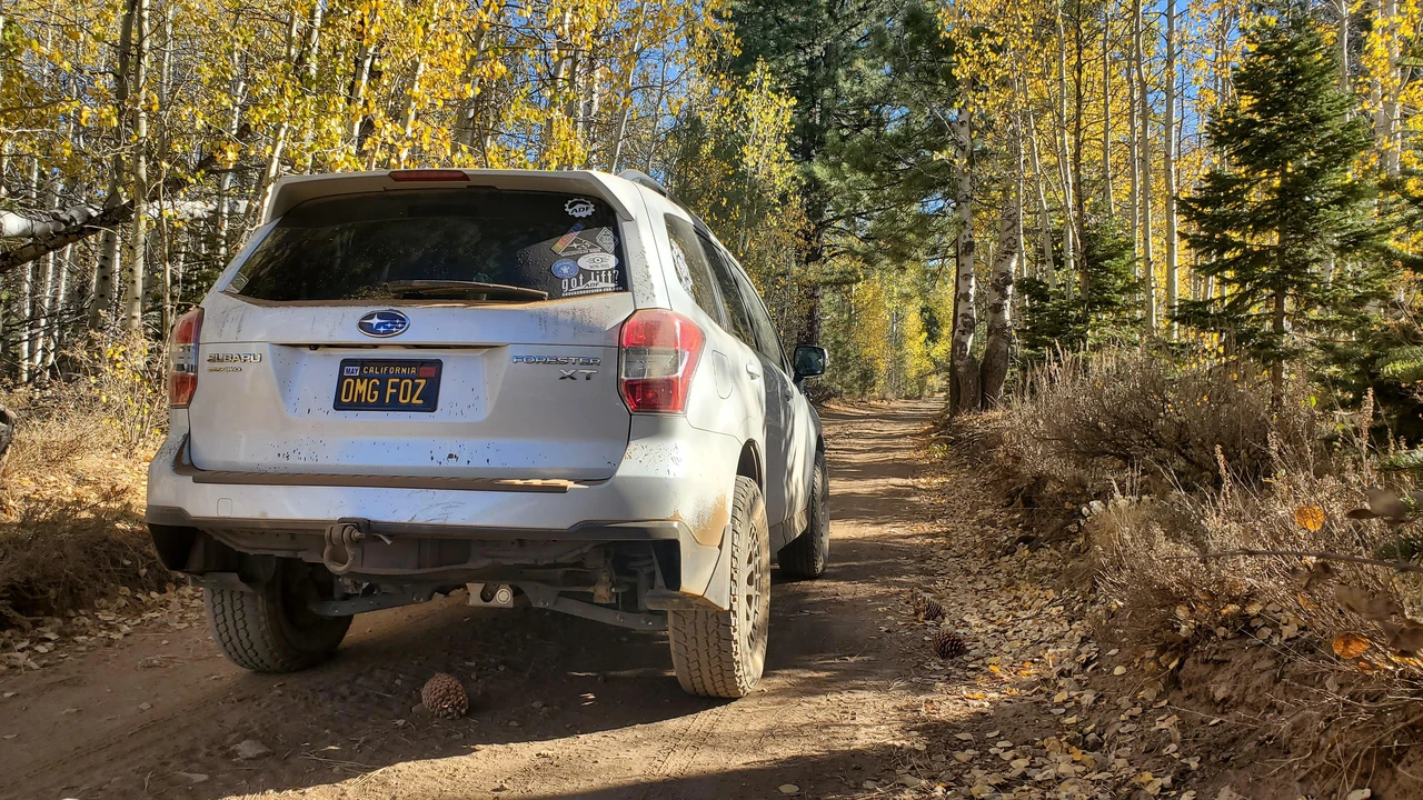2014 Subaru Forester 4th Gen - Image 19 of 31
