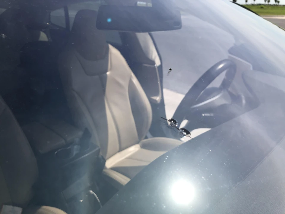 2014 Tesla Model S - Image 16 of 31