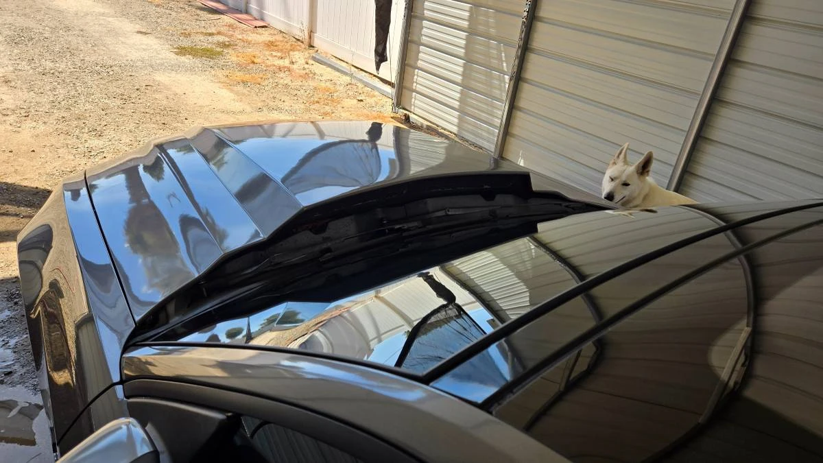 2014 Ford S197 Mustang GT - Image 16 of 20