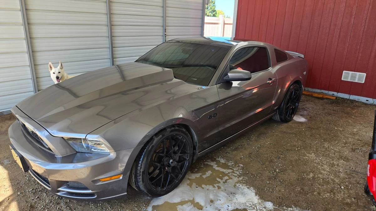 2014 Ford S197 Mustang GT - Image 20 of 20