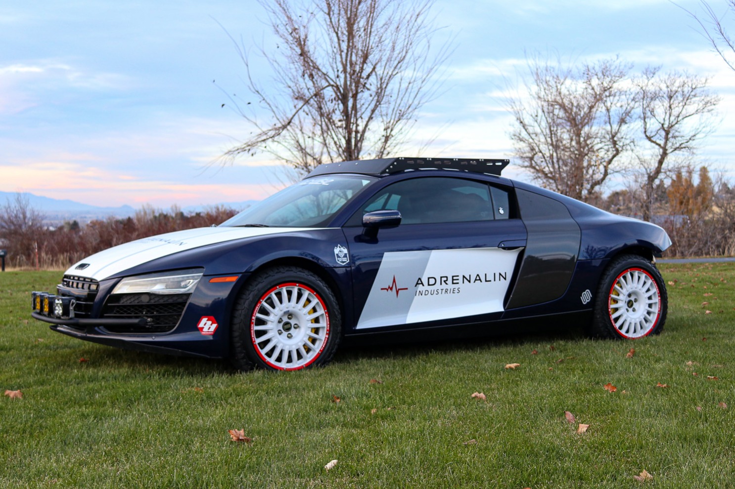 Safari-Style 2014 Audi R8 Coupe