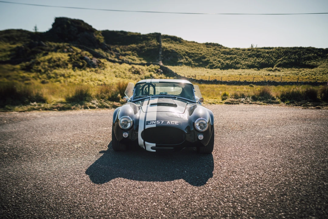 2015 Shelby Cobra Replica - Image 3 of 31