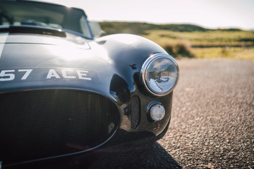 2015 Shelby Cobra Replica - Image 27 of 31