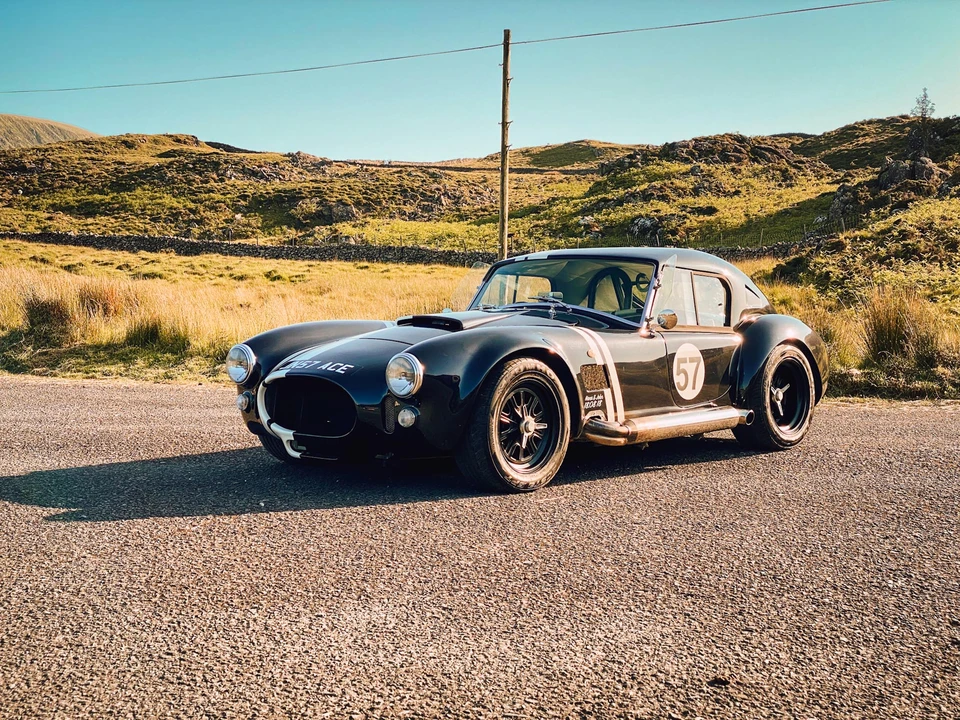 2015 Shelby Cobra Replica - Image 17 of 31
