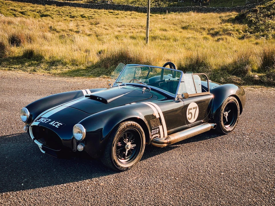 2015 Shelby Cobra Replica - Image 21 of 31