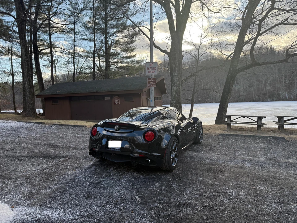 2015 Alfa Romeo 4C - Image 14 of 31