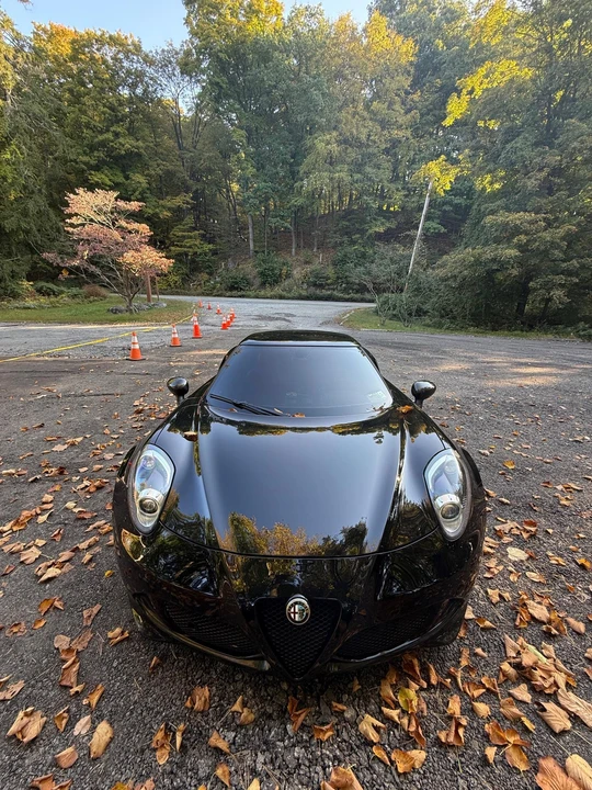 2015 Alfa Romeo 4C - Image 6 of 31