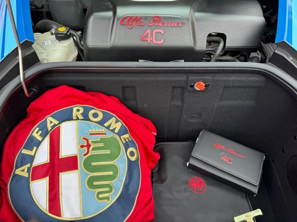 2015 Alfa Romeo 4C - Image 13 of 20