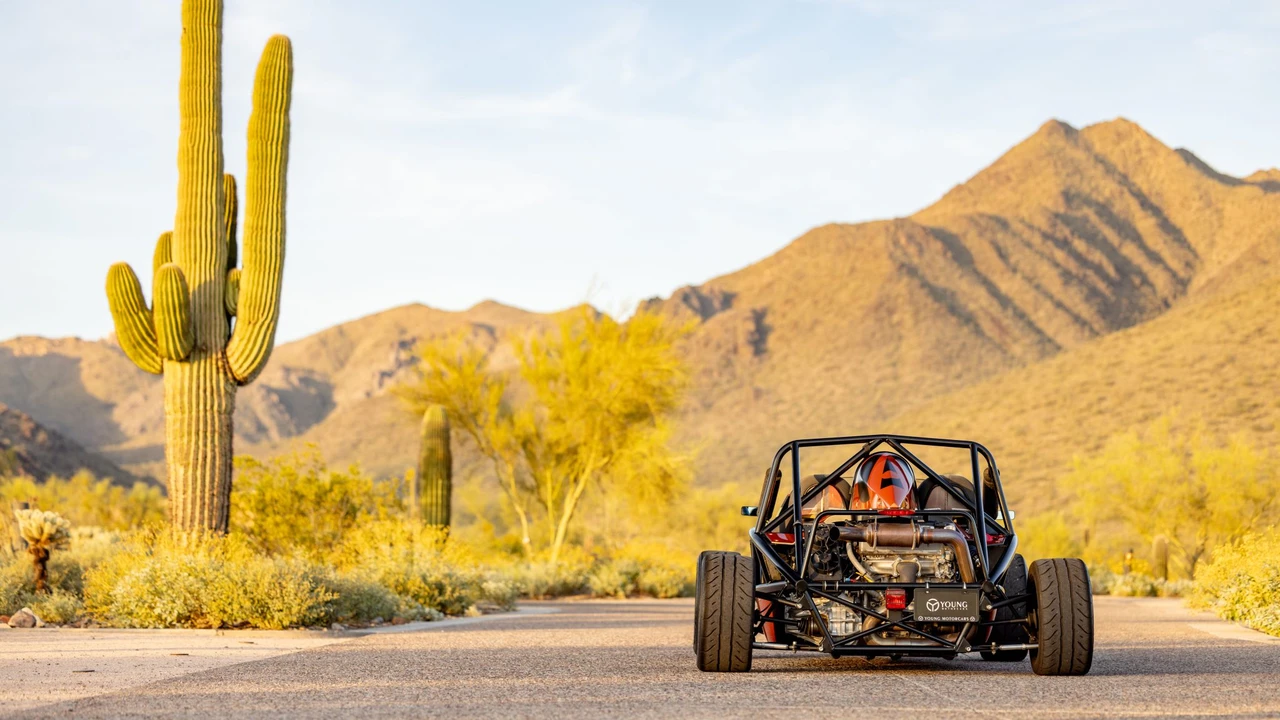 2015 Ariel Atom - Image 12 of 31