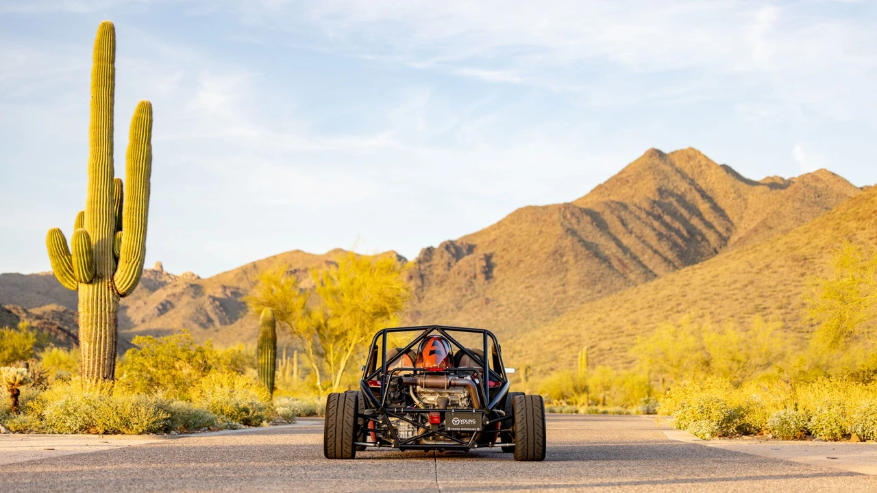 2015 Ariel Atom - Image 11 of 31