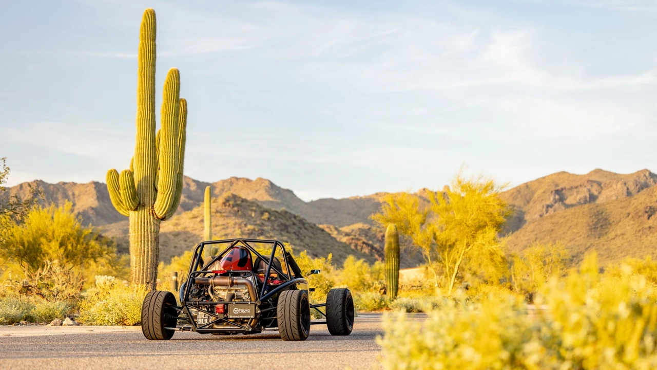2015 Ariel Atom - Image 10 of 31