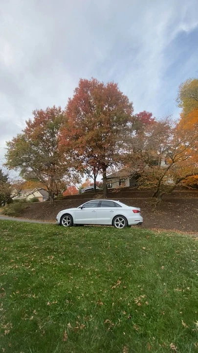 2015 Audi 8V A3 - Image 11 of 12