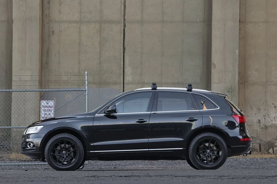 2015 Audi 8R Q5 - Image 2 of 14