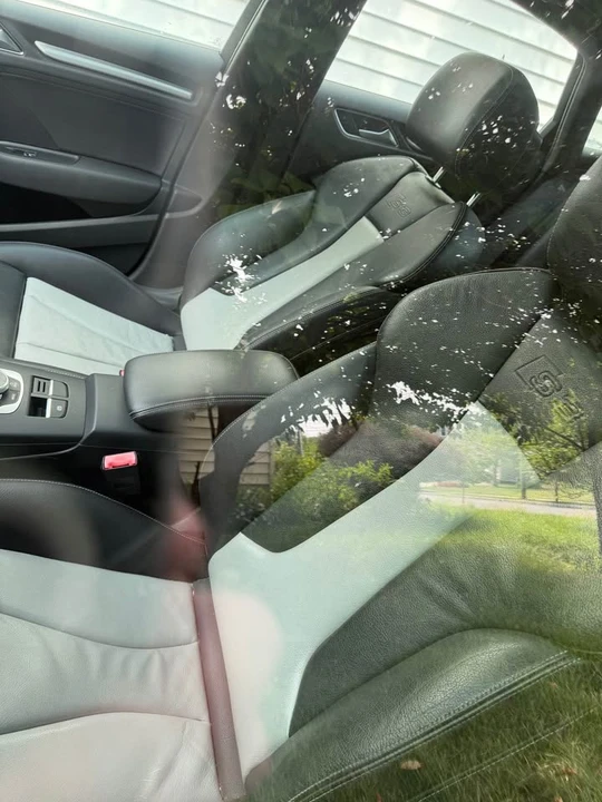 2015 Audi 8V S3 - Image 8 of 9