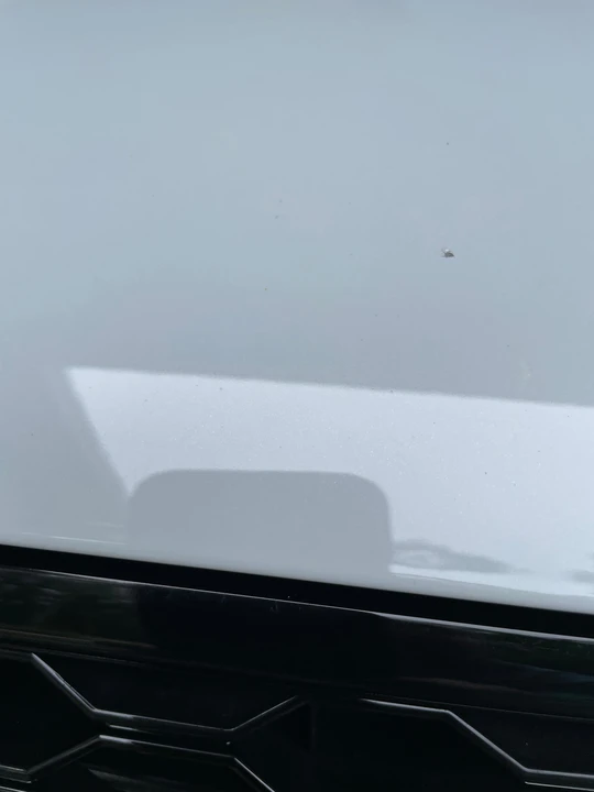 2015 Audi B8 S4 - Image 31 of 31