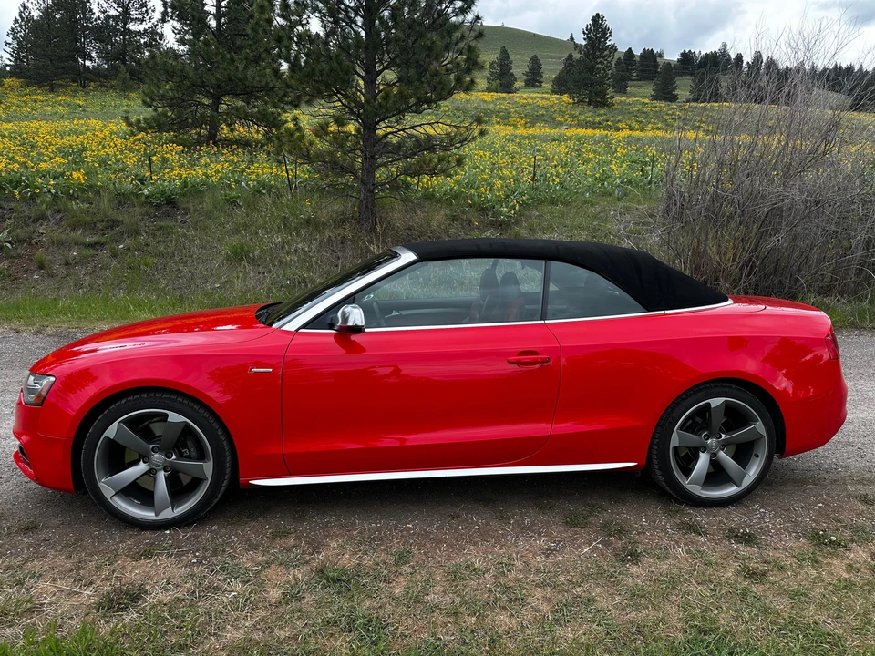 2015 Audi B8 S5 - Image 20 of 31