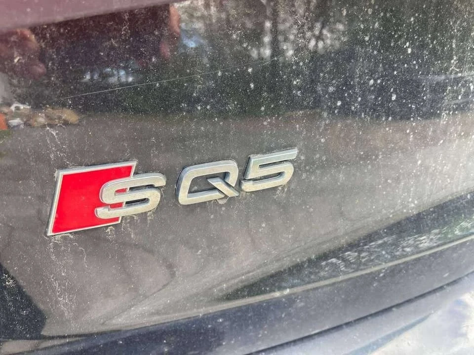 2015 Audi 8R SQ5 - Image 19 of 19
