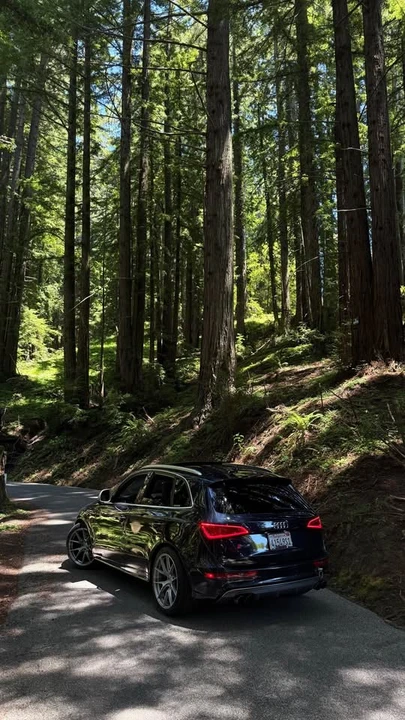 2015 Audi 8R SQ5 - Image 5 of 11