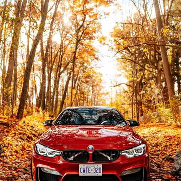 2015 BMW M4
