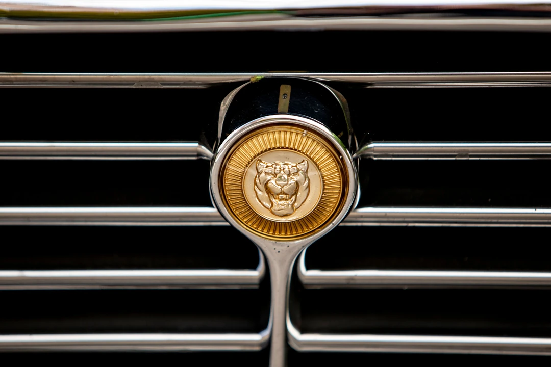 2015 Jaguar Replica - Image 29 of 31