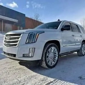 2015 Cadillac Escalade Platinum Edition