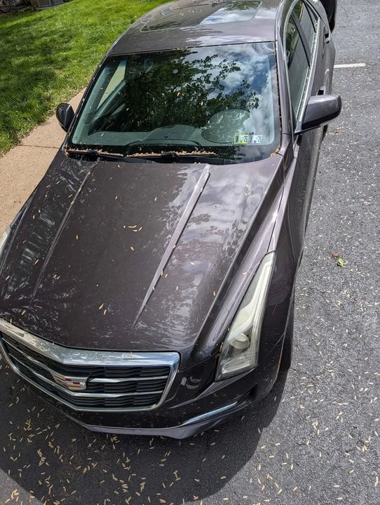 2015 Cadillac ATS - Image 13 of 20