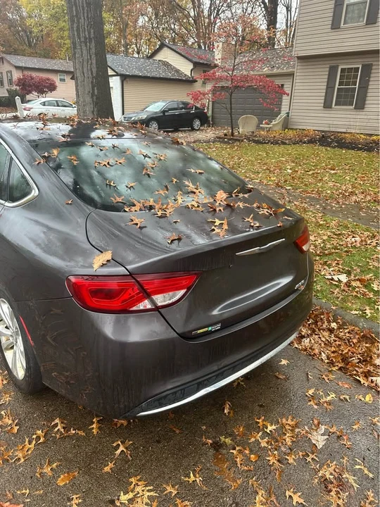 2015 Chrysler 200 - Image 4 of 4