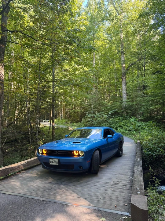 2015 Dodge Challenger 3rd Gen - Image 8 of 12