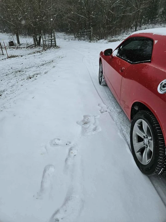 2015 Dodge Challenger 3rd Gen - Image 3 of 9