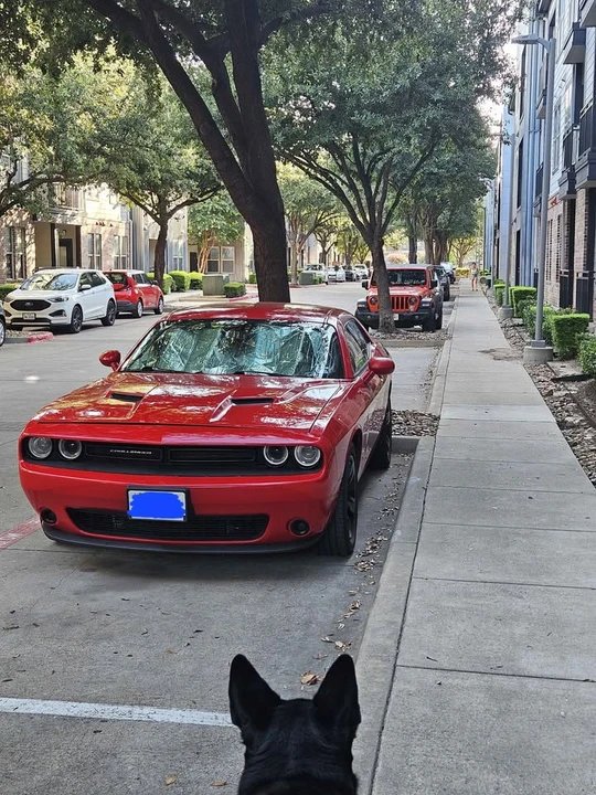 2015 Dodge Challenger 3rd Gen - Image 3 of 20