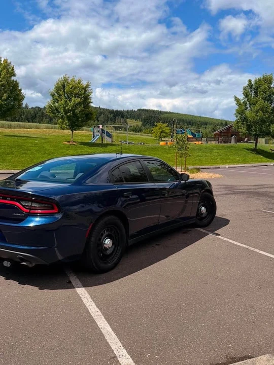 2015 Dodge Charger 7th Gen - Image 10 of 12