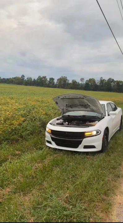 2015 Dodge Charger 7th Gen - Image 4 of 5