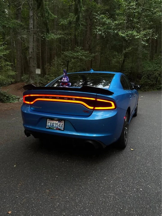 2015 Dodge Charger 7th Gen - Image 3 of 4