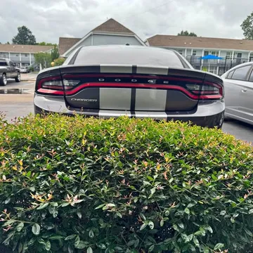 2015 Dodge Charger SE