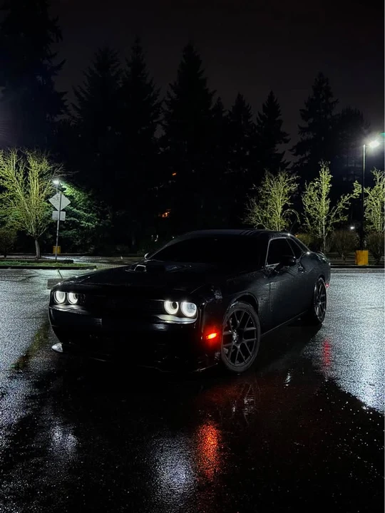 2015 Dodge Challenger 3rd Gen - Image 19 of 19