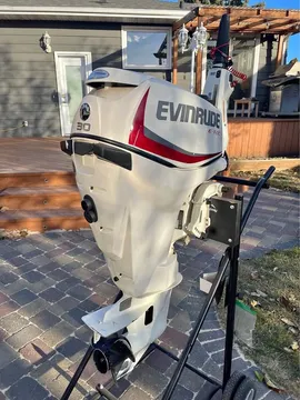 Evinrude 30hp E-tec 2 Stroke Engine