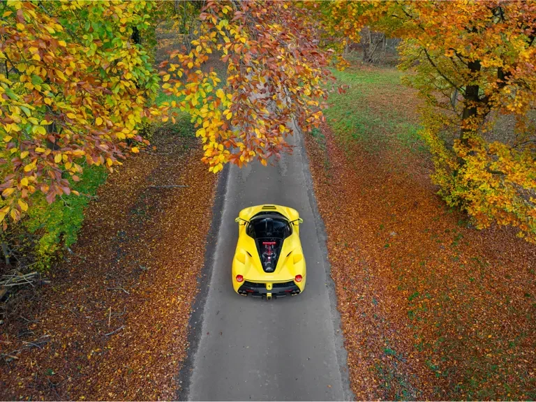 2015 Ferrari LaFerrari - Image 25 of 31